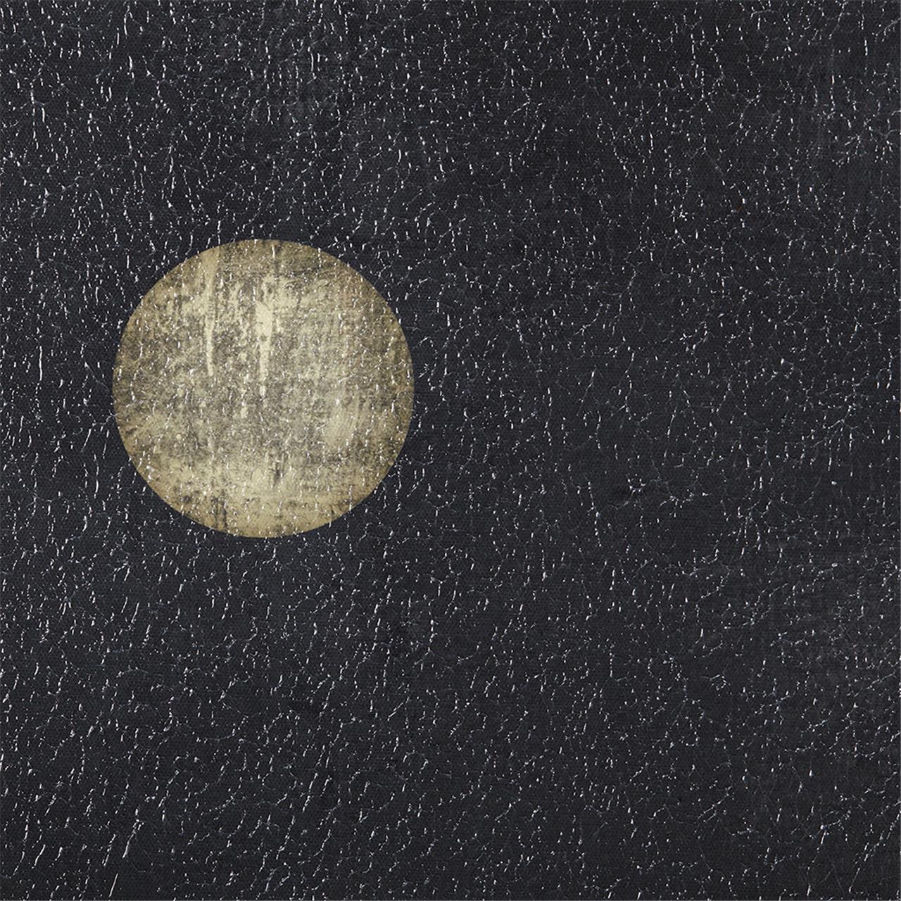 25528093