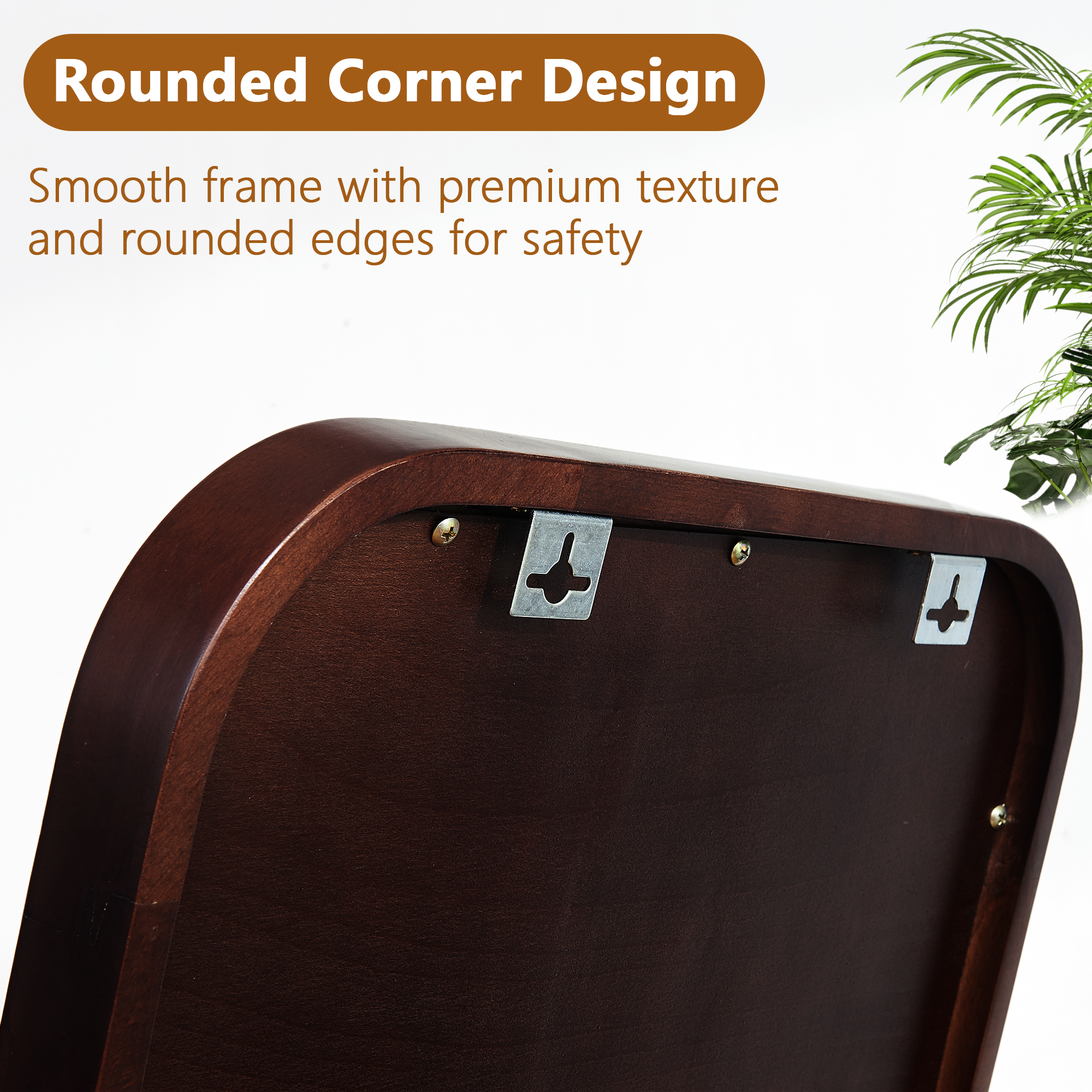 25540905